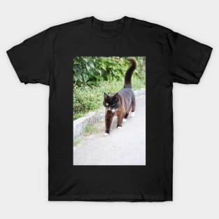 Cat - Switzerland T-Shirt